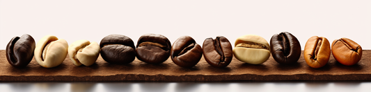 Quelle est le meilleur café