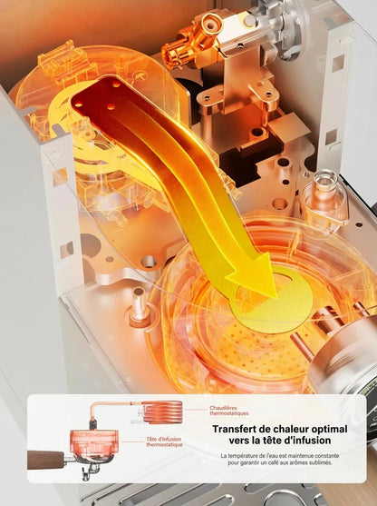 Technologie transfert chaleur tête infusion thermostatique
