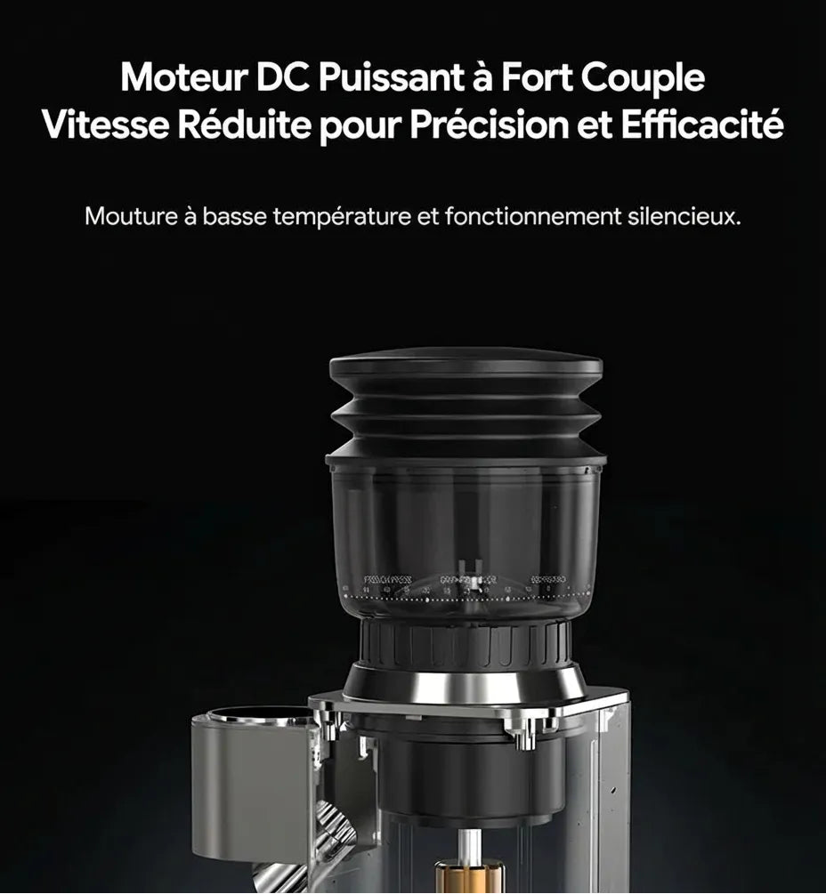 Moteur DC silencieux du moulin à café G7