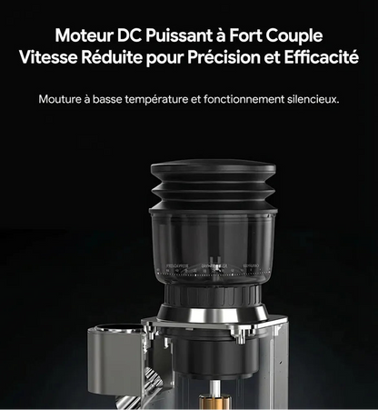 Moteur DC silencieux du moulin à café G7